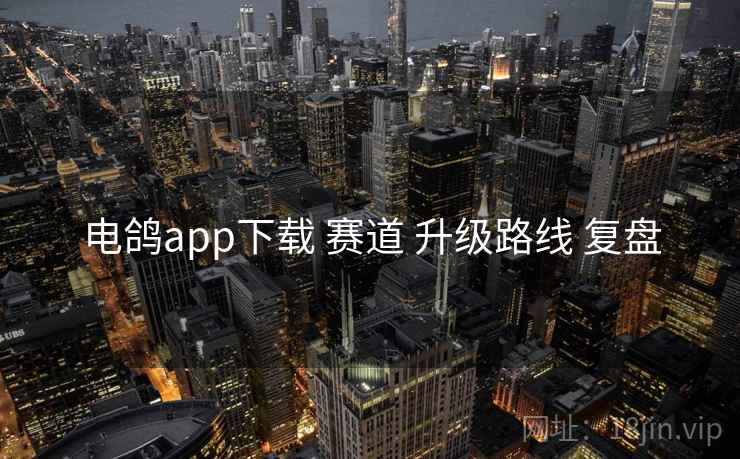 电鸽app下载 赛道 升级路线 复盘 电鸽app下载 赛道 升级路线 复盘
