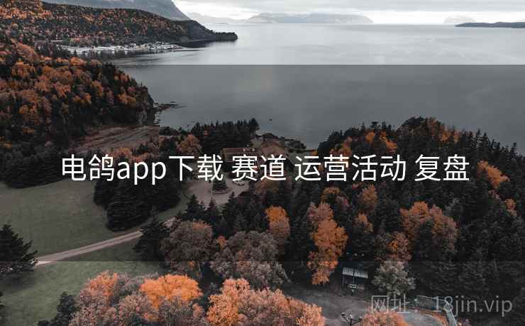 电鸽app下载 赛道 运营活动 复盘 电鸽app下载 赛道 运营活动 复盘