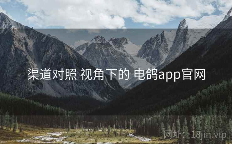 渠道对照 视角下的 电鸽app官网 渠道对照 视角下的 电鸽app官网