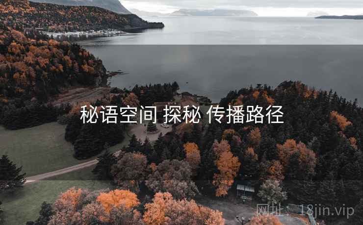 秘语空间 探秘 传播路径 秘语空间 探秘 传播路径